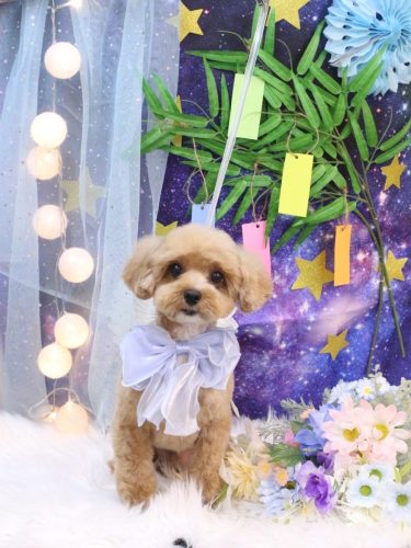 20250701シナモンくん